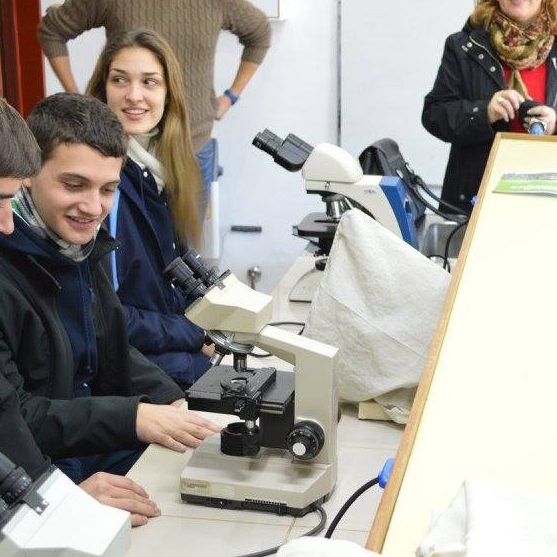 actividad laboratorios estud secundarios